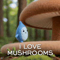 Mushroom GIF by Teardrop
