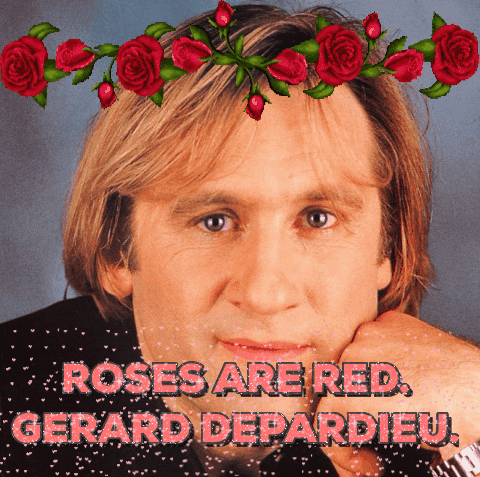 valentines day roses are red GIF by Suze Perlov 