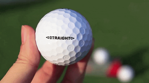 majorworld giphygifmaker GIF