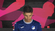 Tsg Hoffenheim Football GIF by Bundesliga