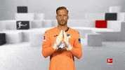 Tsg Hoffenheim Football GIF by Bundesliga