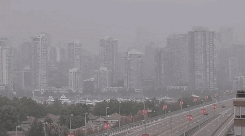 Wildfire Smoke GIF by GIPHY News