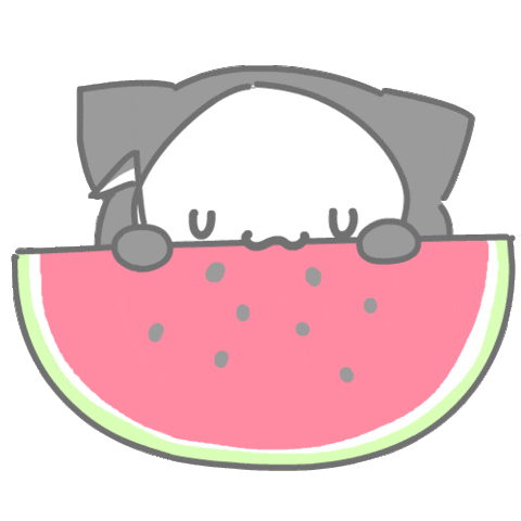 Cat Summer Sticker