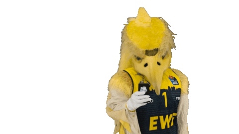 Ewe Baskets Basketball Sticker by EWE Baskets Oldenburg