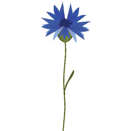 Flower Natura Sticker by Cukier Królewski