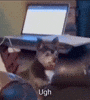 Ew Ugh GIF