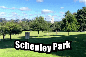 Nice Day Disc Golf GIF by Mike Hitt