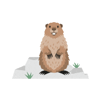 Marmot Feelaustria Sticker by Visit Austria