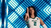 Flex Tulane GIF by GreenWave