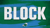 Volleyball Tulane GIF by GreenWave