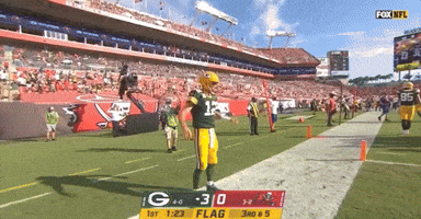 Regular Season Football GIF by NFL