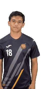 Puerto Rico Concacaf Sticker by Federación Puertorriqueña de Fútbol