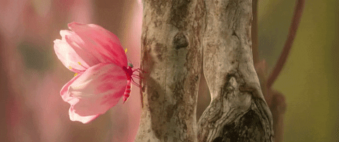 Music Video Dancing GIF by Netta