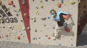 climbing austria GIF by Tirol