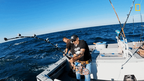Wicked Tuna Fishing GIF by National Geographic Channel