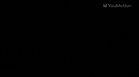 Abstract Scribble Animations Collection