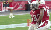 Arizona Cardinals Football GIF by NFL