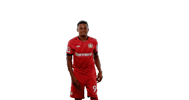 Bayer 04 Goal Sticker by Bayer 04 Leverkusen