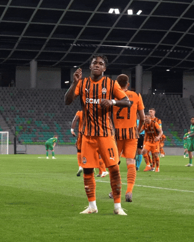 Dance Dancing GIF by FC Shakhtar