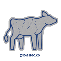 Cow Vaca Sticker by bialtec