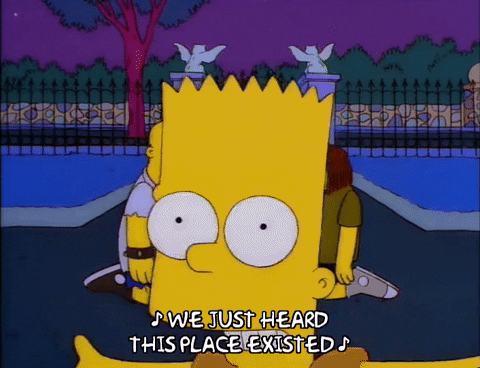 bart simpson dolph starbeam GIF