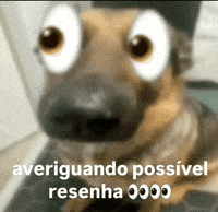 Batatamookie GIF