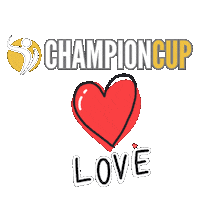 Sanda Martial Arts Sticker by Champion Training Sanda Martial Art