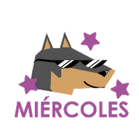 shapaoo dog perro miercoles vidacaninaqro Sticker