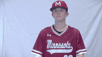 MNMASH no baseball wink homerun GIF