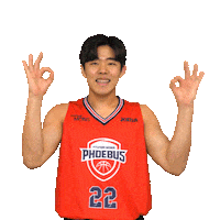Basketball Ok Sticker by hyundaimobis