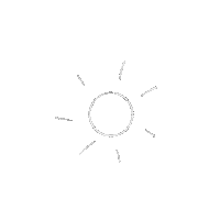 Sun Sunshine Sticker