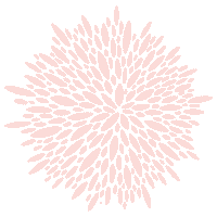 Pink Boho Sticker