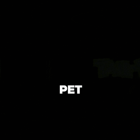 tailwagginuae giphygifmaker tailwaggin GIF