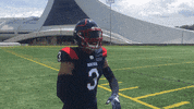 Montreal Alouettes No GIF by Alouettes de Montréal