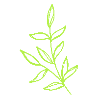 Flower Spring Sticker