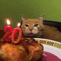 Happy Birthday GIF by Respective