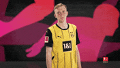Borussia Dortmund GIF by Bundesliga