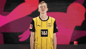 Borussia Dortmund Yes GIF by Bundesliga