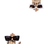 fashion sunglasses Sticker by Le Specs
