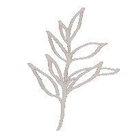 Olive Branch Line Art Sticker