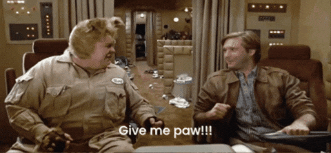 GIF by Maximum Effort