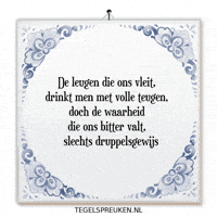 Reflectie Waarheid GIF by Tegelspreuken.nl