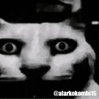 Alarkokombi16 GIF