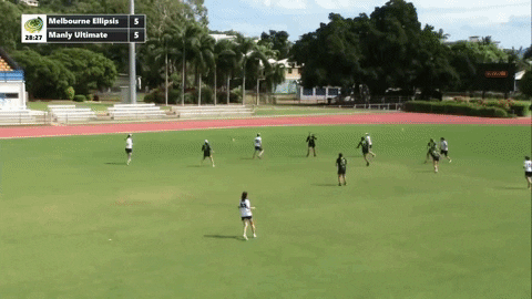 flikulti ultimate frisbee flik GIF