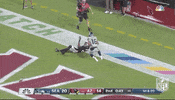 Regular Season Football GIF by NFL