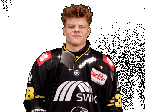 Del2 Seidenstadt Sticker by Krefeld Pinguine