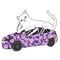 RIPNDIP_CAT alien skate skaters ripndip Sticker