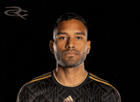 Lafc GIF by Respective