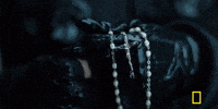 season 2 episode 1 genius GIF by National Geographic Channel