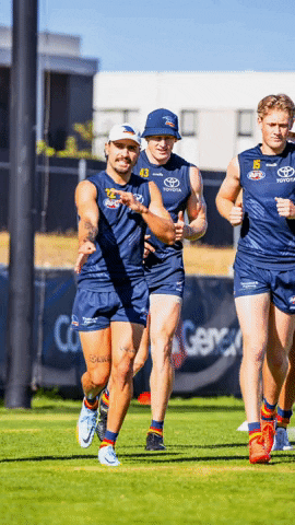 GIF by Adelaide Crows